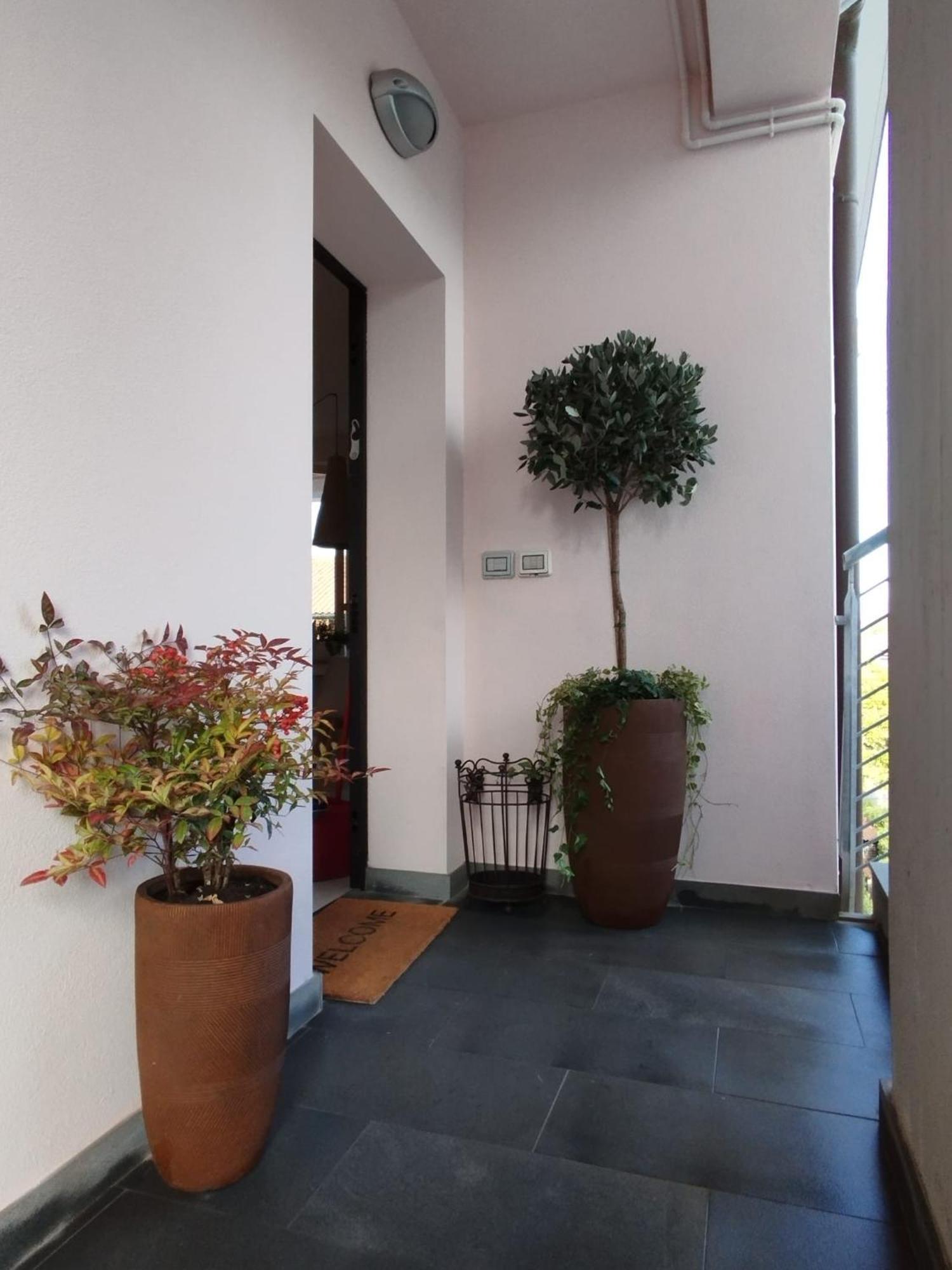 Apartamento Casa Degli Aromi Lucca Exterior foto